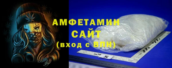 шишки Бородино