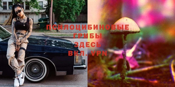 прущая мука Вязьма