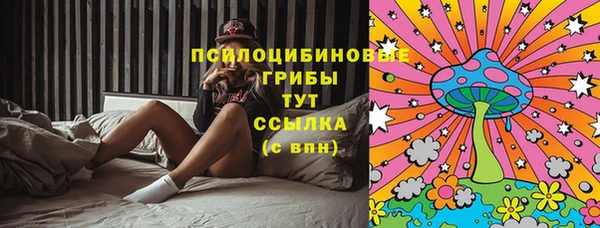шишки Бородино