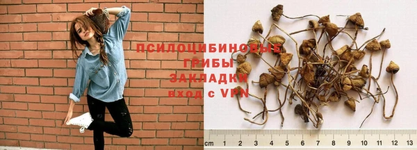 шишки Бородино